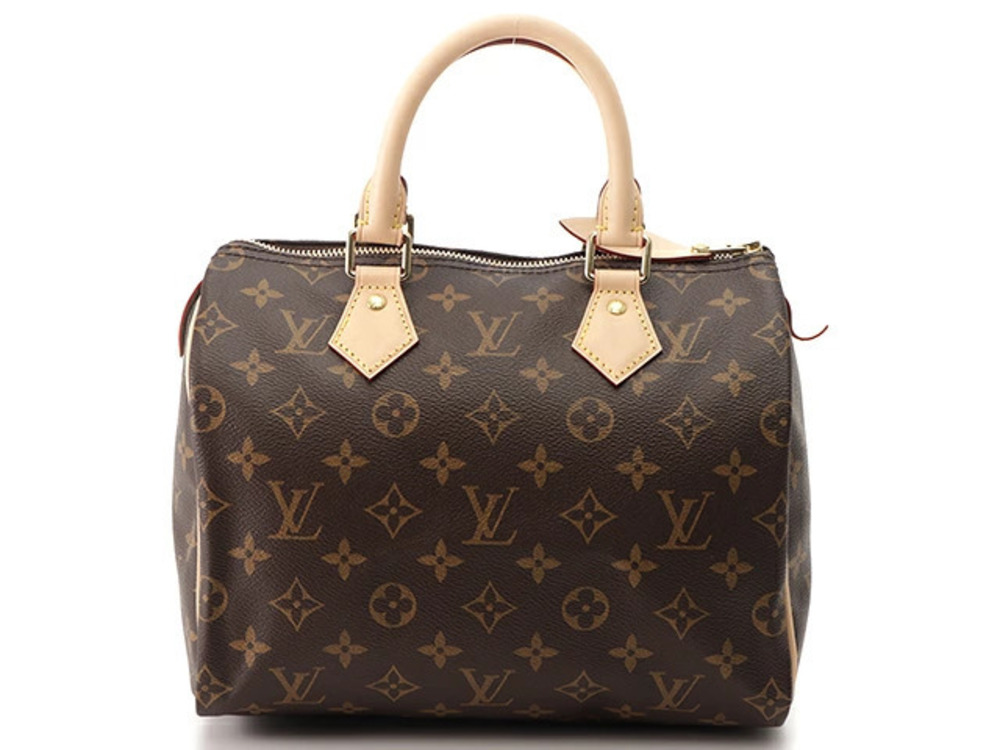 LOUIS VUITTON Speedy handbag Monogram AH
